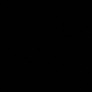 Meet your Posher, Mychal